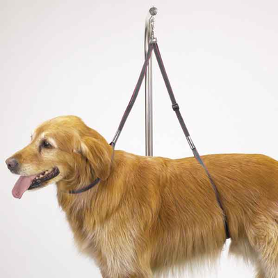 Pet Edge TP Nylon Table Harness – 27 Inch Dog Grooming Pet Restraint