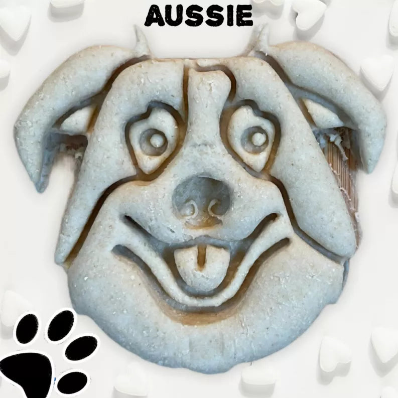 June Bug Dog Breed Dog Cookies Aussie