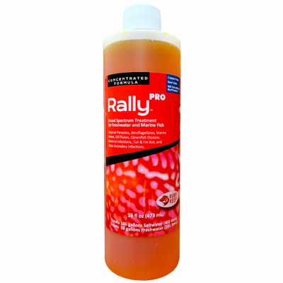 Ruby Reef Rally PRO - Broad Spectrum Fish Parasite Treatment, 16 oz