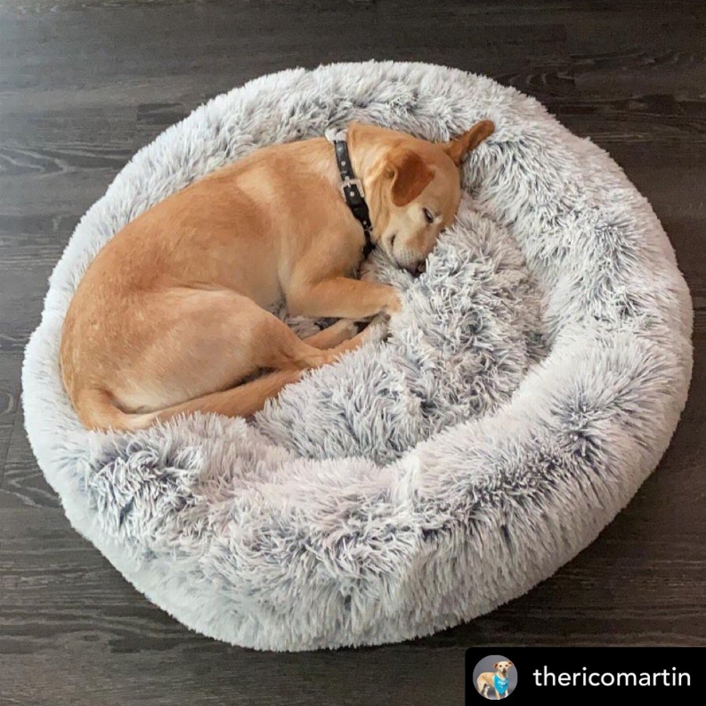 Mr. Peanut's OrthoPlush Pet Bed, 23 in