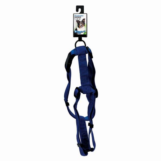 DGR 1in Adjustable Harness Blue Blue