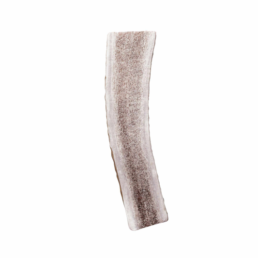 KONG(R) Wild Antler Split, Large