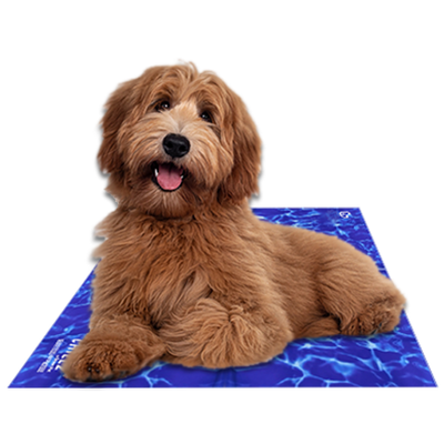 The Green Pet Shop Chillz Gel Cooling Mat for Dogs and Cats - Medium Wave