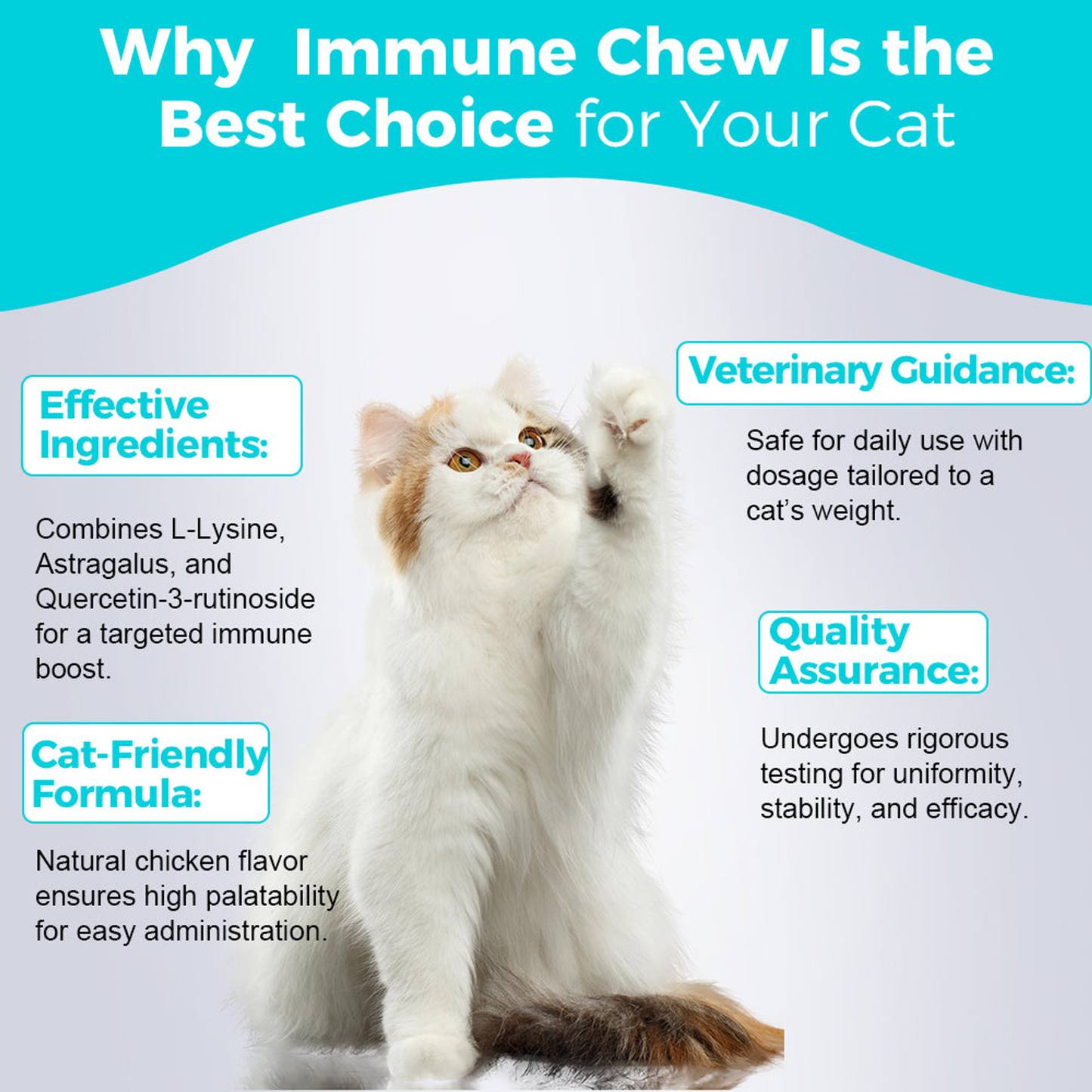 Cat Immune Chews - 60 Chews