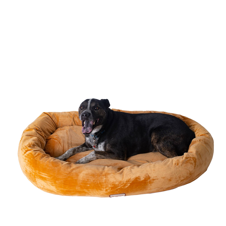 Dog Beds