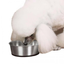 ProSelect Stainless Steel Dog Bowl with Non-Slip Rubber Base - Size Option