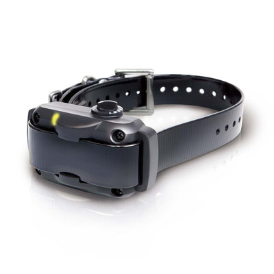 Dogtra YS600 No Bark Dog Collar – Waterproof High Powered Training
