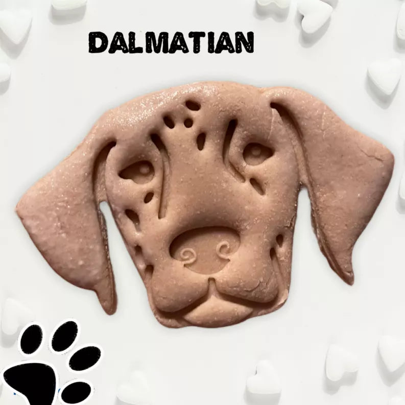 June Bug Dog Breed Dog Cookies, Dalmatian