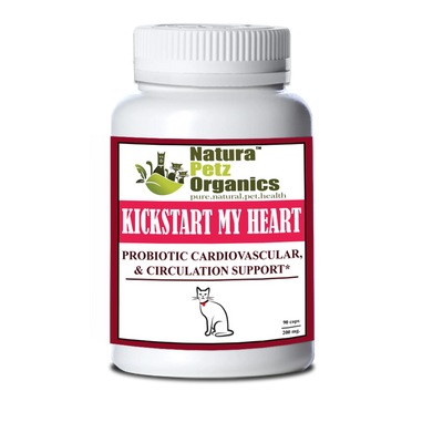 kick start my heart probiotic heart cardiovascular circulation cat