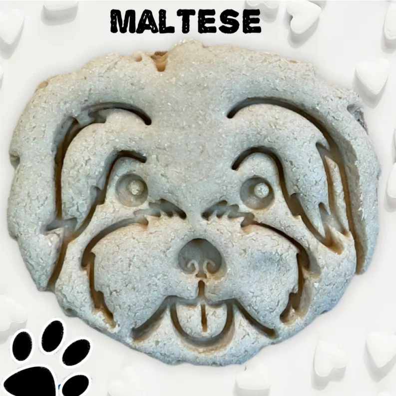 June Bug Dog Breed Dog Cookies, Maltese