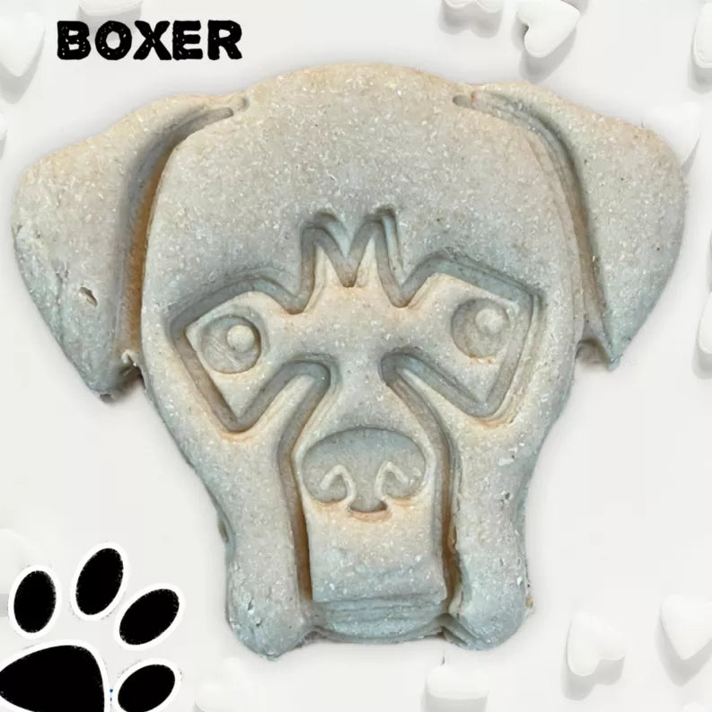 June Bug Dog Breed Dog Cookies Boxer