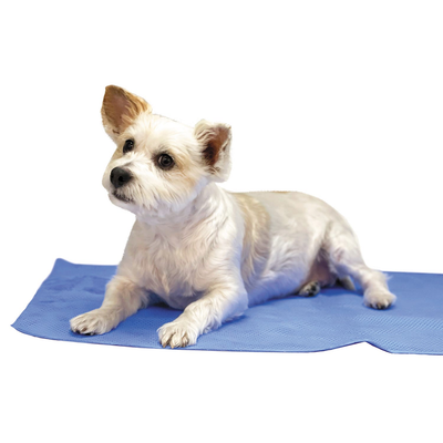 Pet Edge TP Drying and Cooling Towel - Blue Ionized Carbon Pet Towel