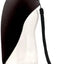 Flipo Fold-A-Bowl Portable Pet Water Bottle and Bowl, 26oz