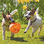 KONG(R) Jumbler(TM) Ball Dog Enrichment Toy Assorted