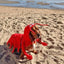 Casual Canine Lobster Paws Dog Costume | Soft Polyester Pet Apparel