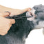Pet Edge TP ProEar Professional Ear Powder for Pet Grooming – 28g/1oz
