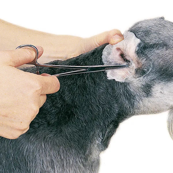 Pet Edge TP ProEar Professional Ear Powder for Pet Grooming – 28g/1oz