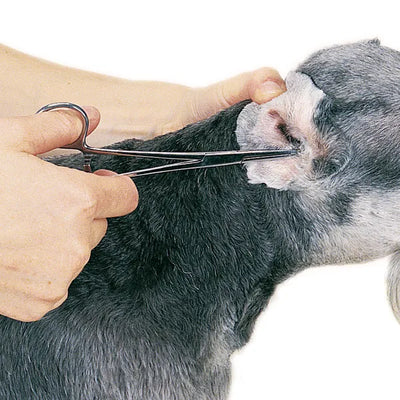Pet Edge TP ProEar Professional Ear Powder for Pet Grooming – 28g/1oz