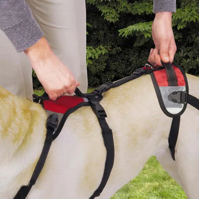 Total Pet Health Lift & Go Dog Lead - Mobility Harness