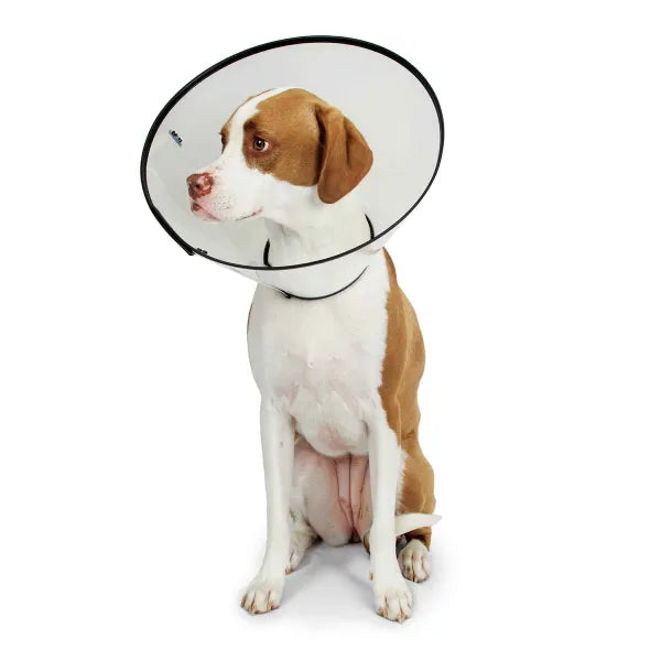 Total Pet Health Elizabethan E-Collar | Plastic Recovery Cone for Pets