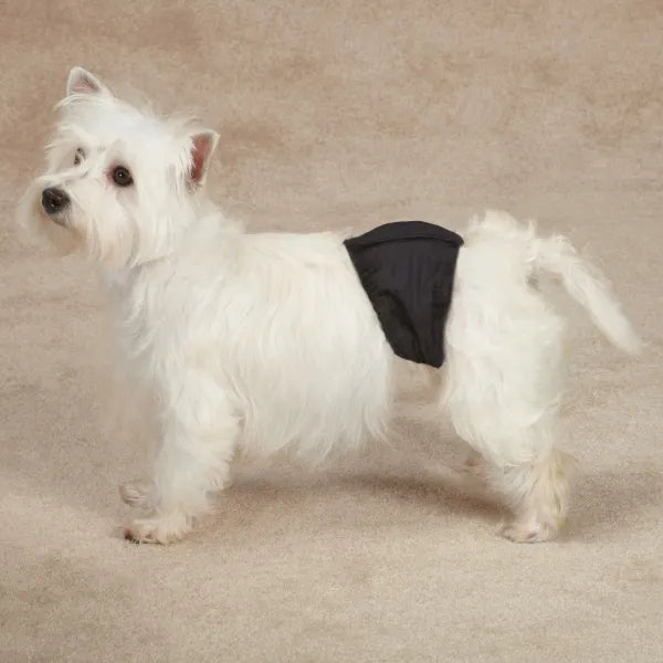 ClearQuest Washable Male Wraps - Select a Size