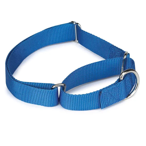 Guardian Gear Nylon Martingale Dog Collar – Choose Color/Size
