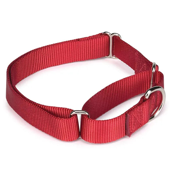 Guardian Gear Nylon Martingale Dog Collar – Choose Color/Size