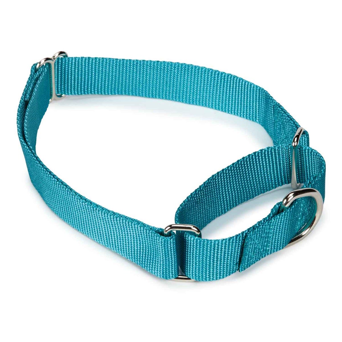 GG Nylon Martingale Collar 10-16In LtB