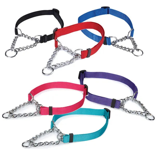 Guardian Gear Martingale Dog Collar, Safety Training Collar - Choose Size/Color