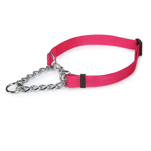 Guardian Gear Martingale Dog Collar, Safety Training Collar - Choose Size/Color