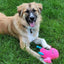 Zanies Rock Monsters Dog Toy - Select a Color