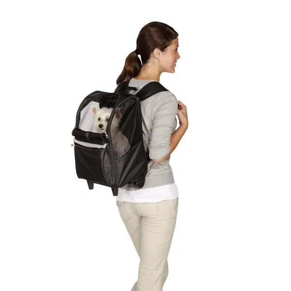 Cruising Companion Black On The Go Rolling Backpacks