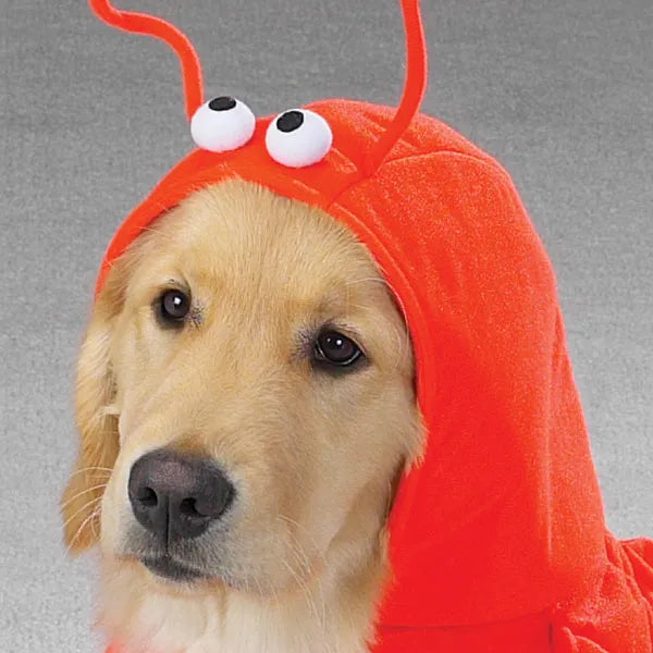 Casual Canine Lobster Paws Dog Costume | Soft Polyester Pet Apparel