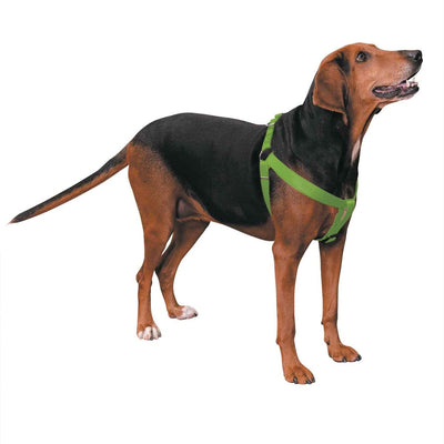 Casual Canine Nylon 2 Step Harness - Size/Color