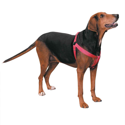 Casual Canine Nylon 2 Step Harness - Size/Color