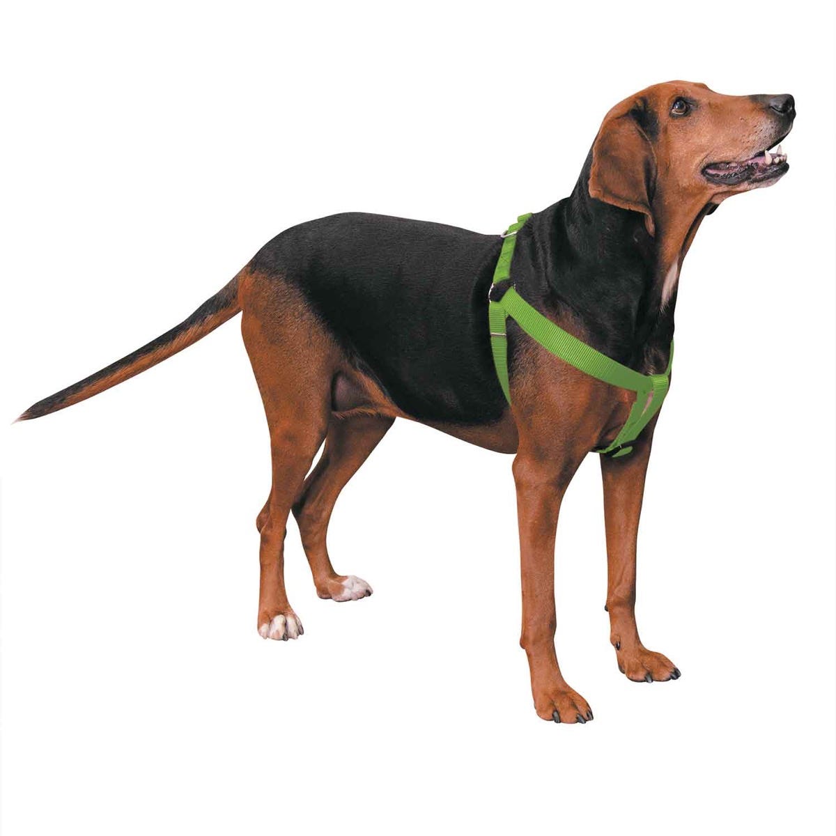 CC Nylon 2 Step Harness 25-40In Grn