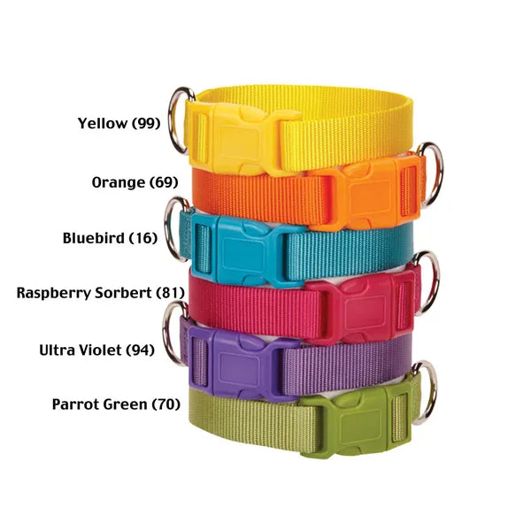 Casual Canine Classic Nylon Collars - Select Size/Color
