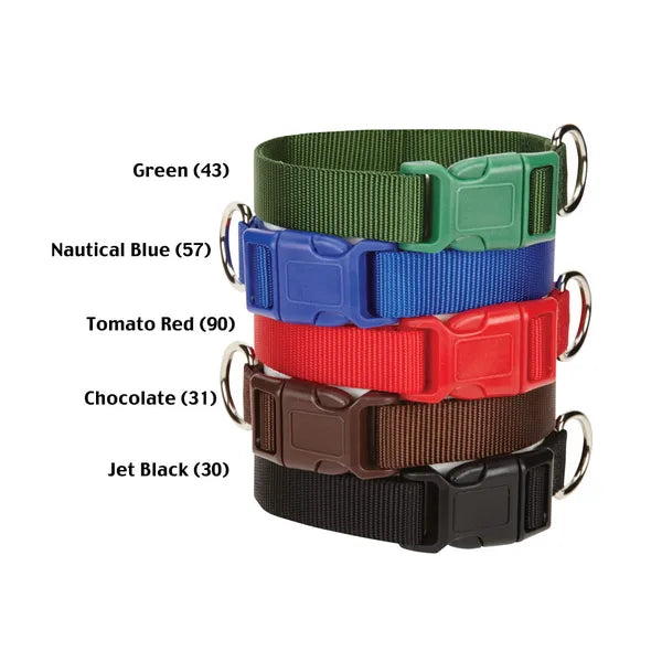 Casual Canine Classic Nylon Collars - Select Size/Color