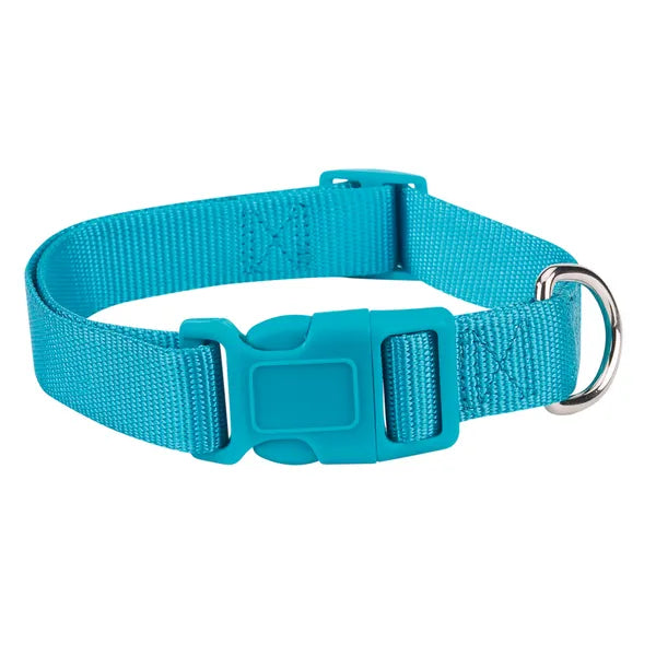 Casual Canine Classic Nylon Collars - Select Size/Color
