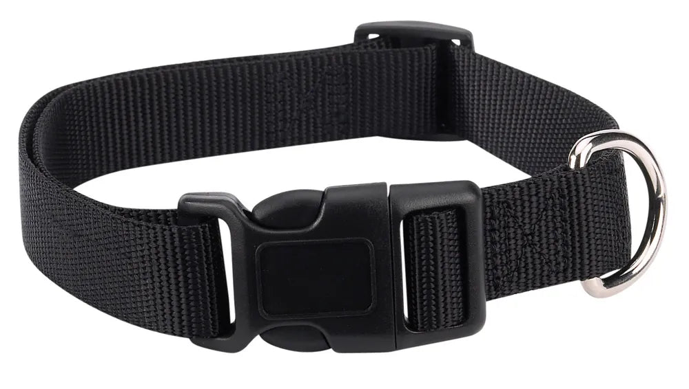 Casual Canine Classic Nylon Collars - Select Size/Color