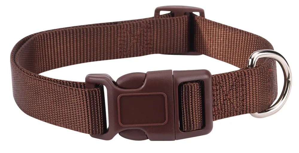 Casual Canine Classic Nylon Collars - Select Size/Color