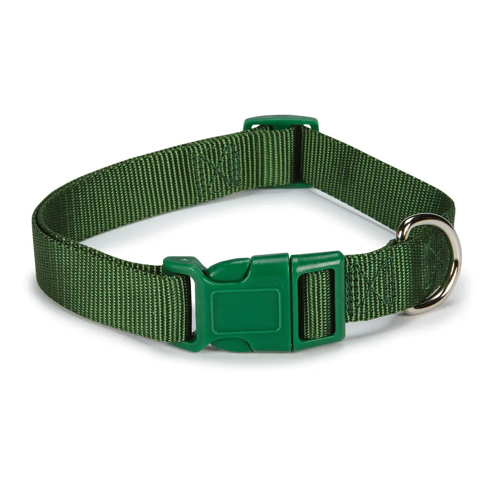 Casual Canine Classic Nylon Collars - Select Size/Color