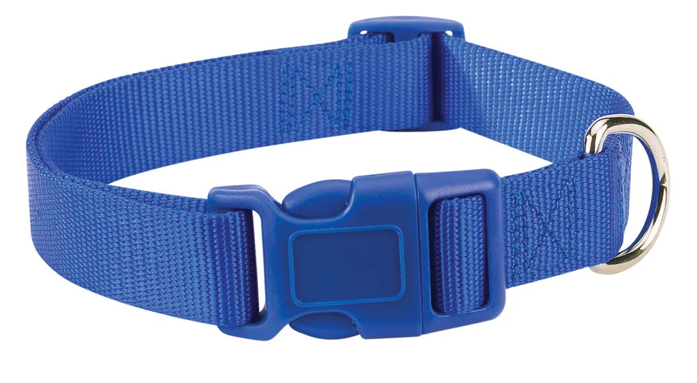Casual Canine Classic Nylon Collars - Select Size/Color