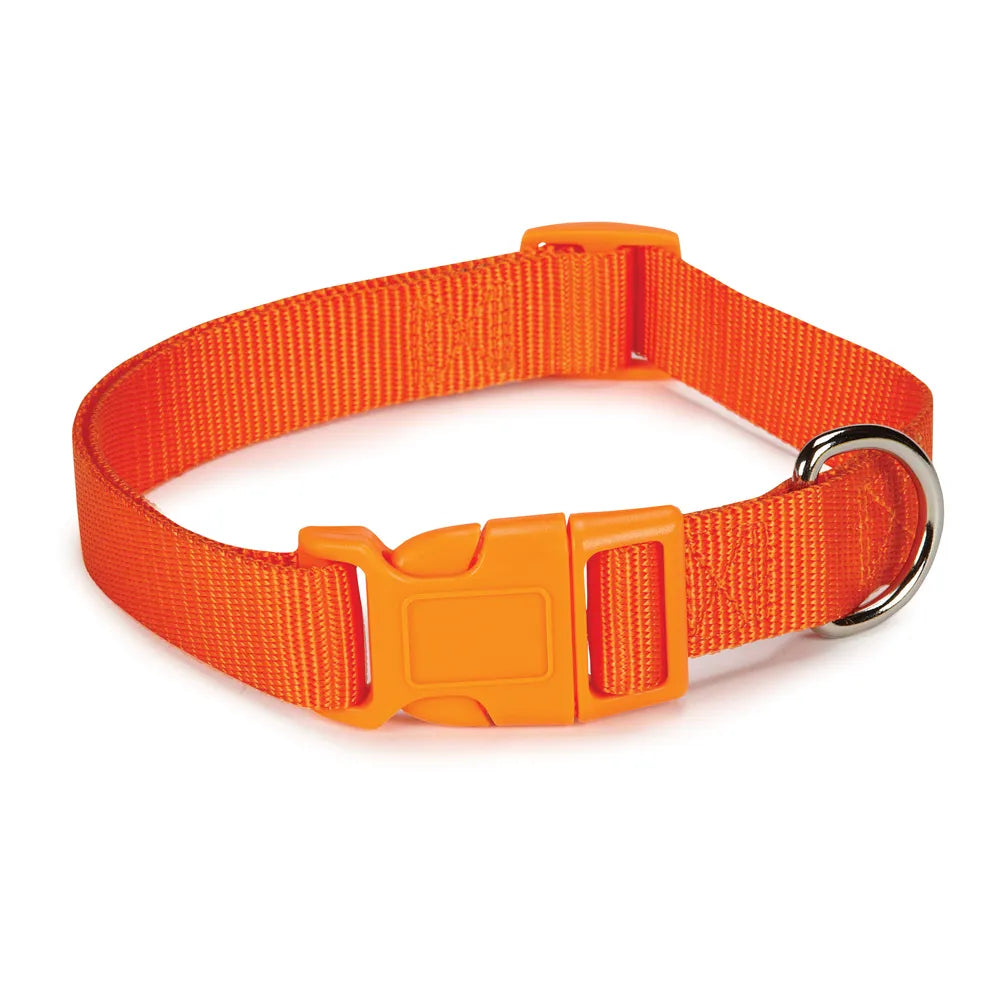 Casual Canine Classic Nylon Collars - Select Size/Color