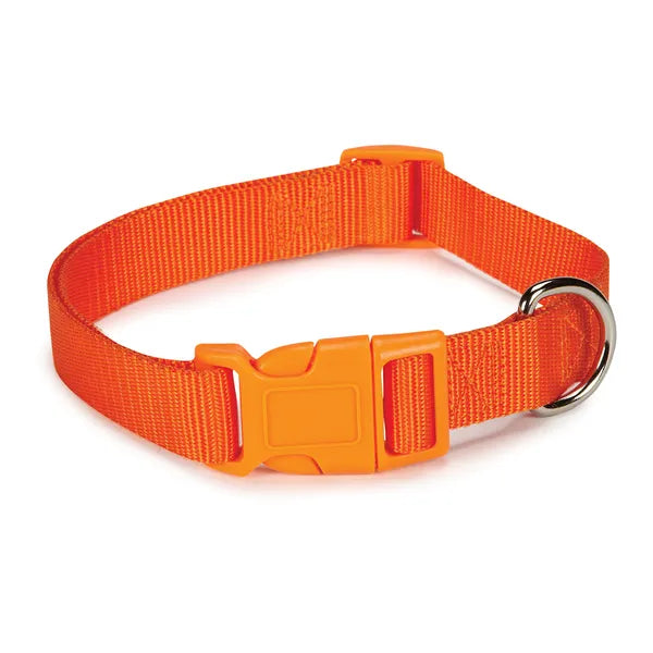 Casual Canine Classic Nylon Collars - Select Size/Color