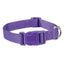 Casual Canine Classic Nylon Collars - Select Size/Color