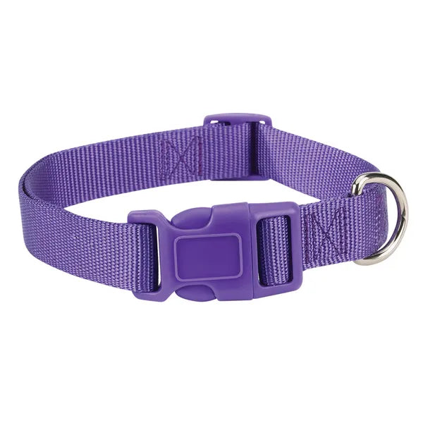 Casual Canine Classic Nylon Collars - Select Size/Color