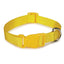 Casual Canine Classic Nylon Collars - Select Size/Color