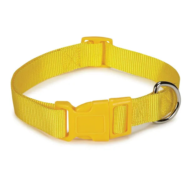 Casual Canine Classic Nylon Collars - Select Size/Color