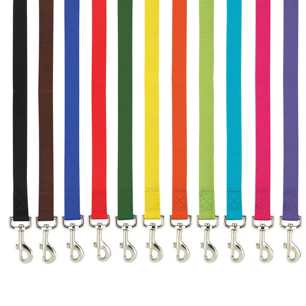 Casual Canine Classic Nylon Lead - Select Size/Color